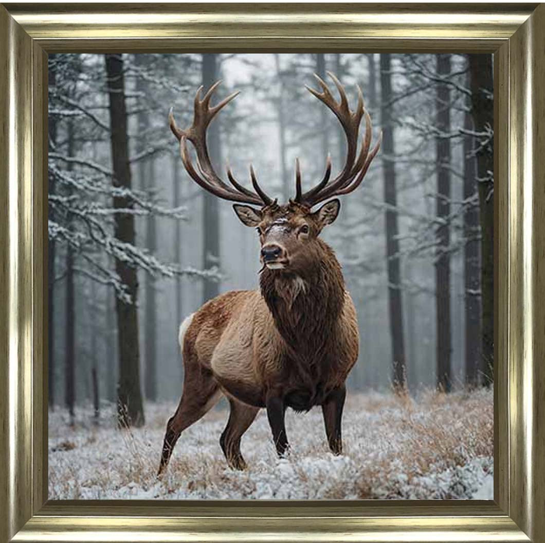 AN2275 Stag In Jungle