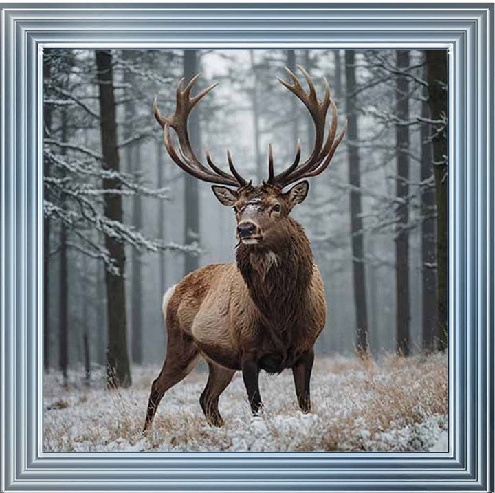 AN2275 Stag In Jungle