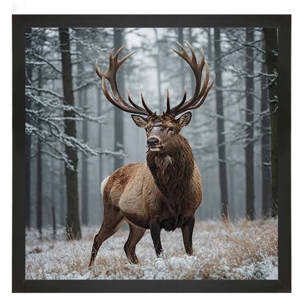 AN2275 Stag In Jungle