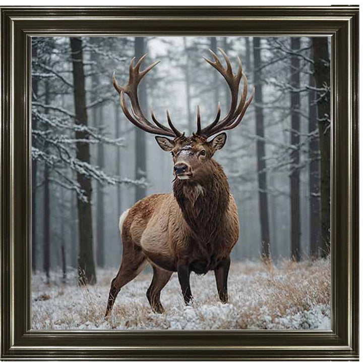 AN2275 Stag In Jungle