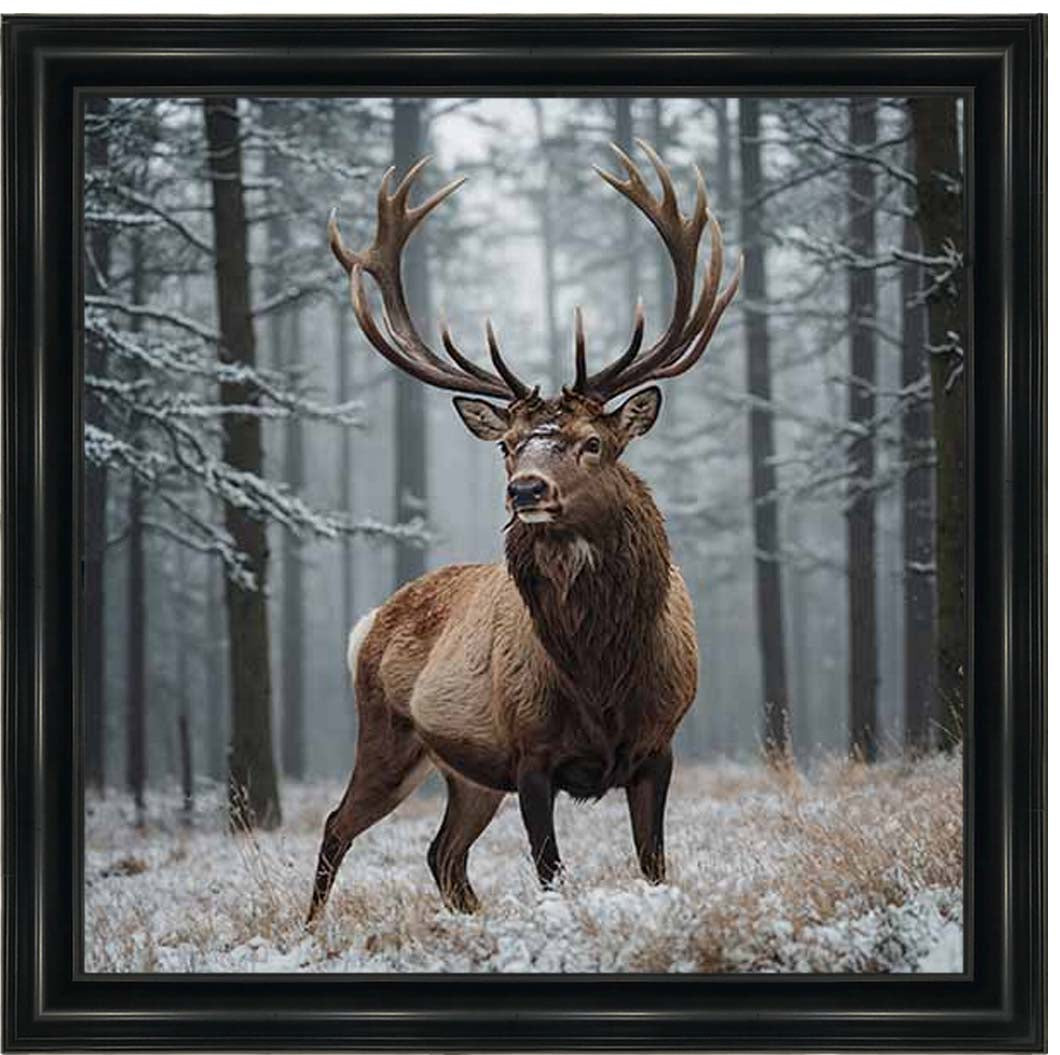 AN2275 Stag In Jungle
