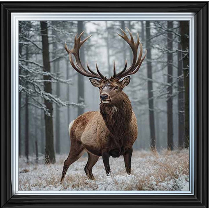 AN2275 Stag In Jungle