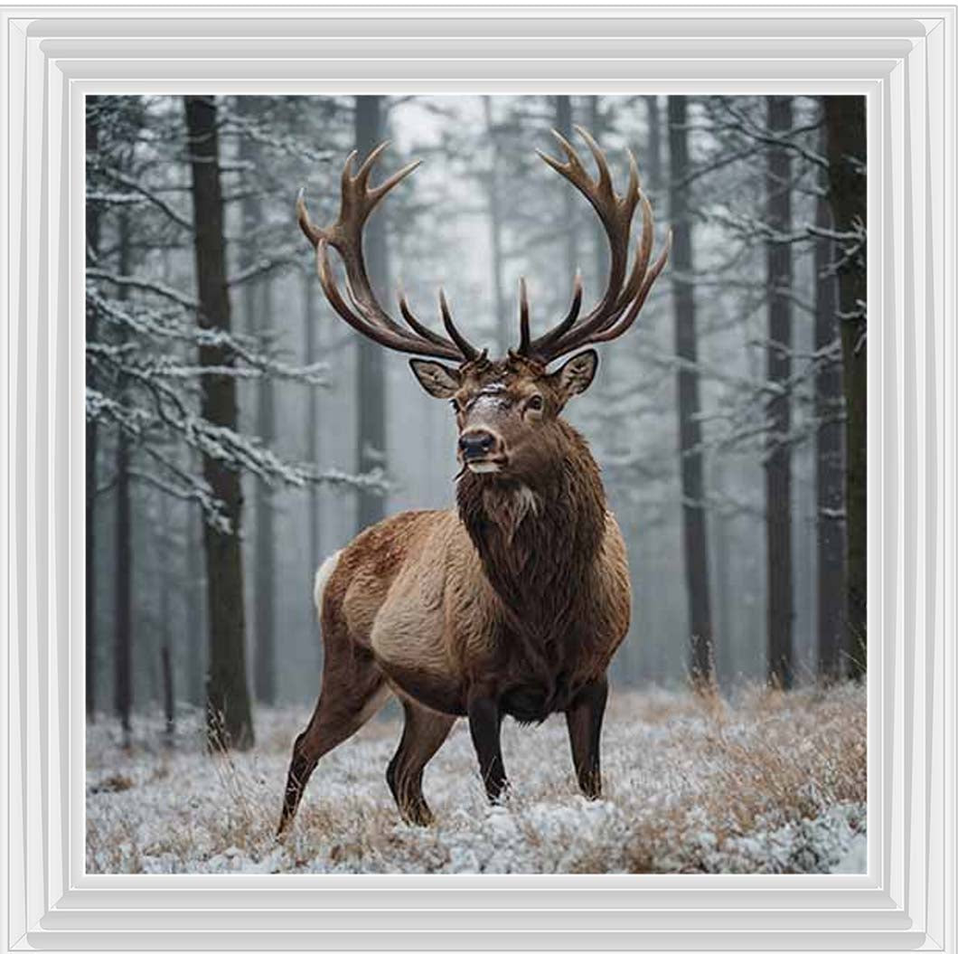 AN2275 Stag In Jungle