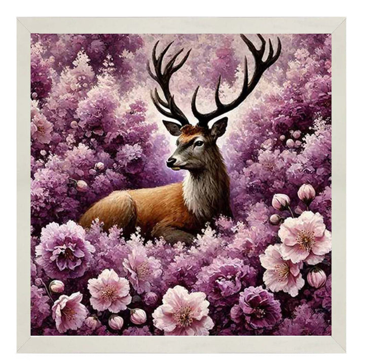 AN2279 Stag Pink Field