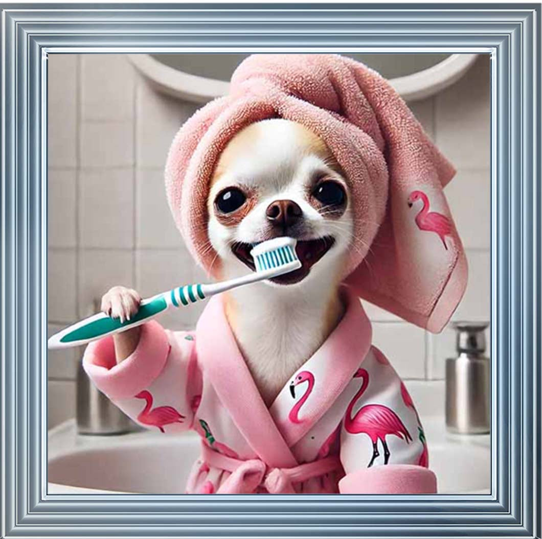 AN2285 Chihuahua Brushing Teeth