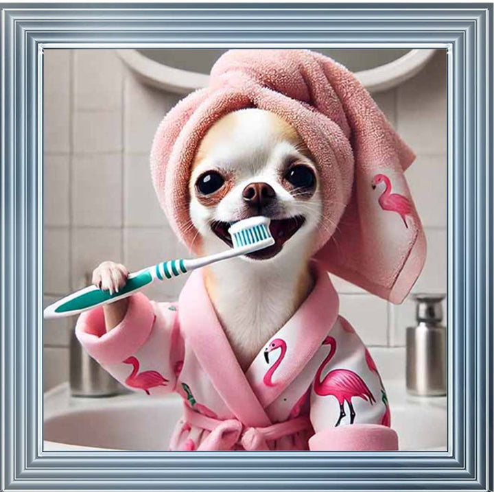 AN2285 Chihuahua Brushing Teeth