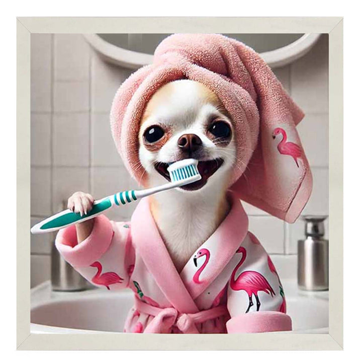 AN2285 Chihuahua Brushing Teeth