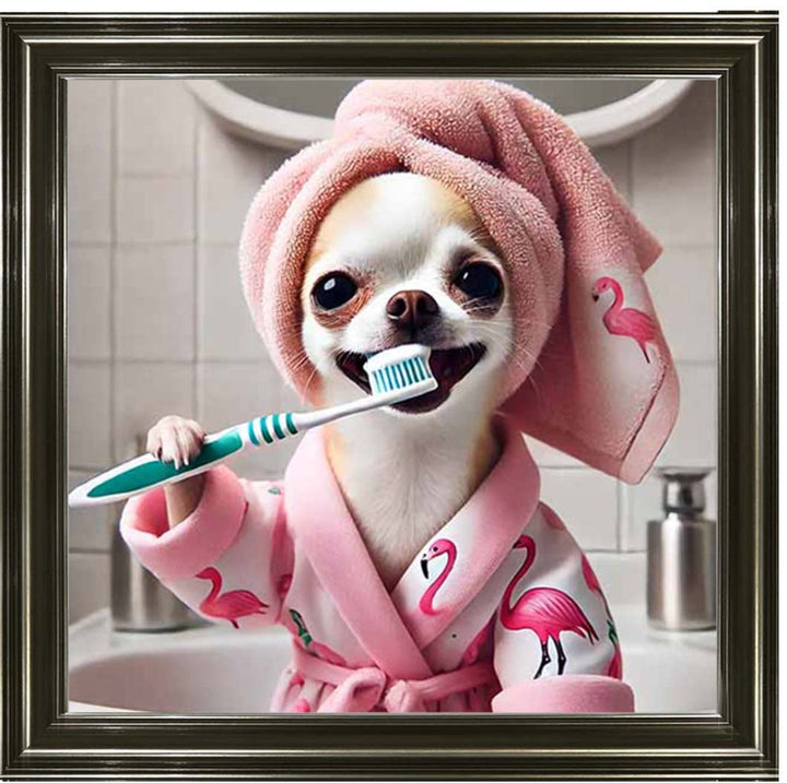 AN2285 Chihuahua Brushing Teeth