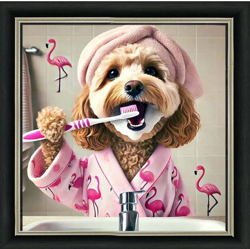 AN2286 Cockapoo Brushing Teeth