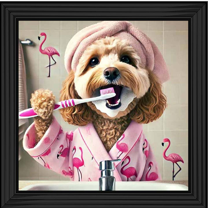 AN2286 Cockapoo Brushing Teeth