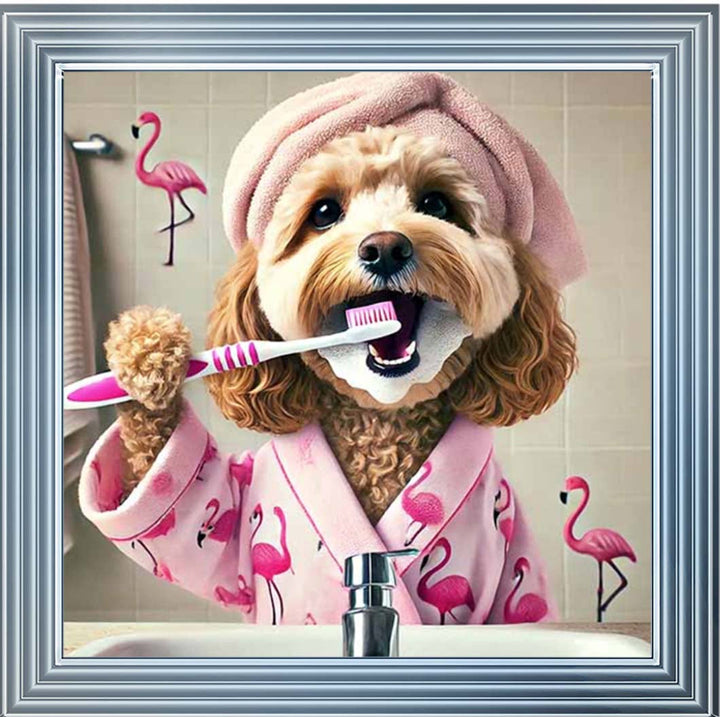 AN2286 Cockapoo Brushing Teeth