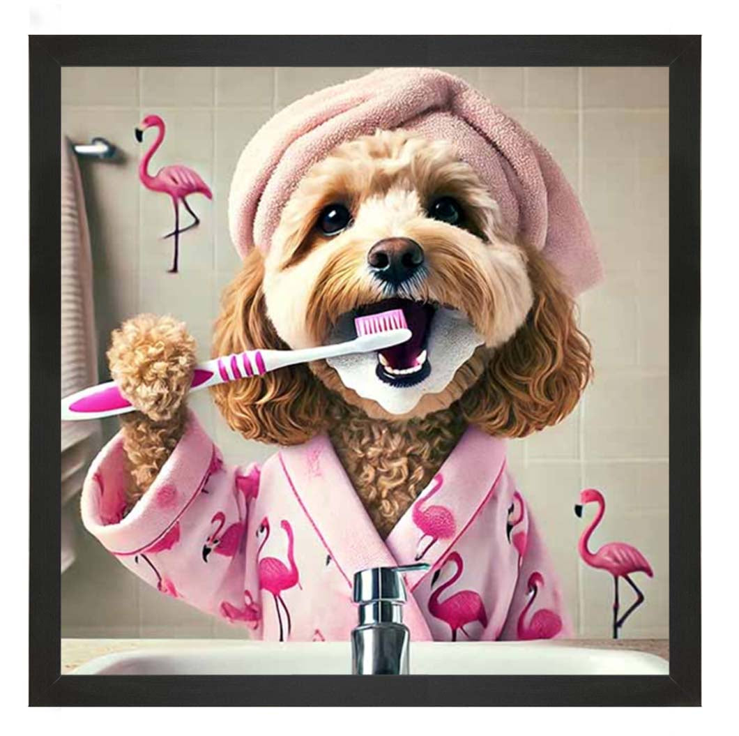 AN2286 Cockapoo Brushing Teeth