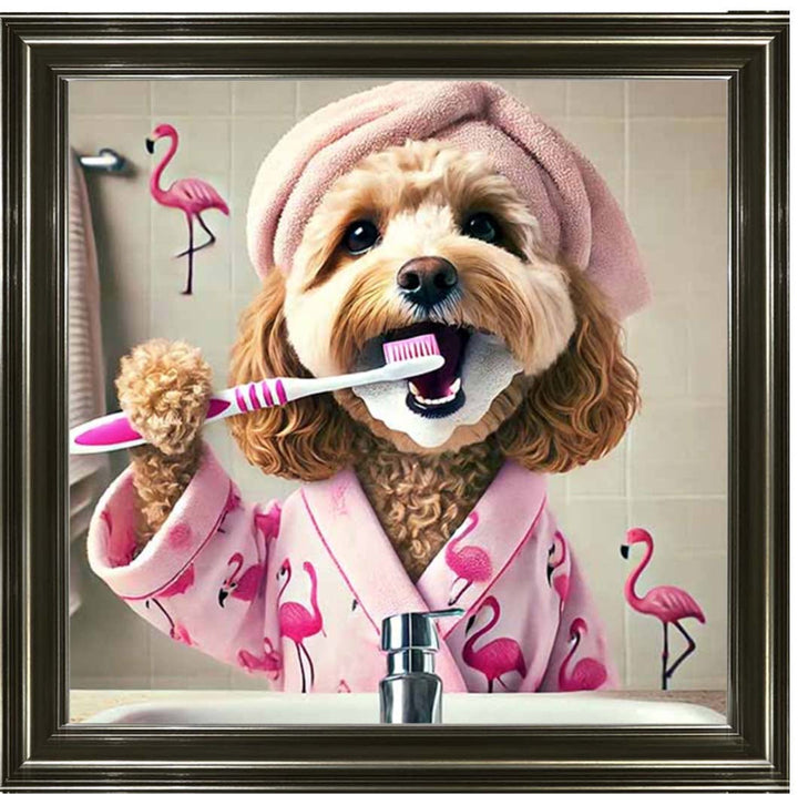 AN2286 Cockapoo Brushing Teeth