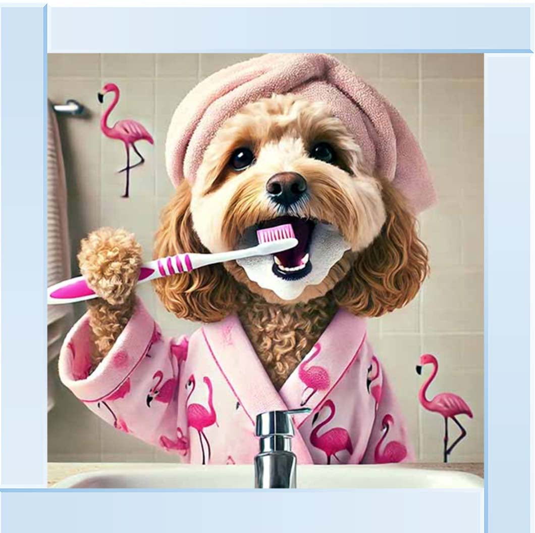 AN2286 Cockapoo Brushing Teeth