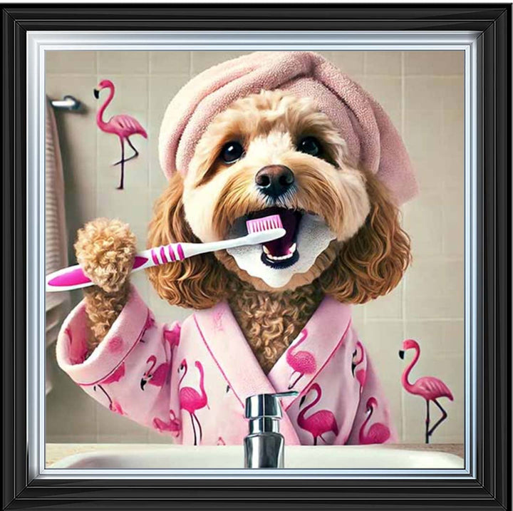 AN2286 Cockapoo Brushing Teeth