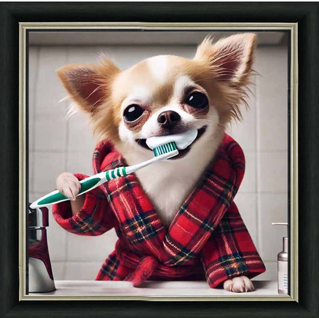 AN2287 Chihuahua Brushing-Teeth ||