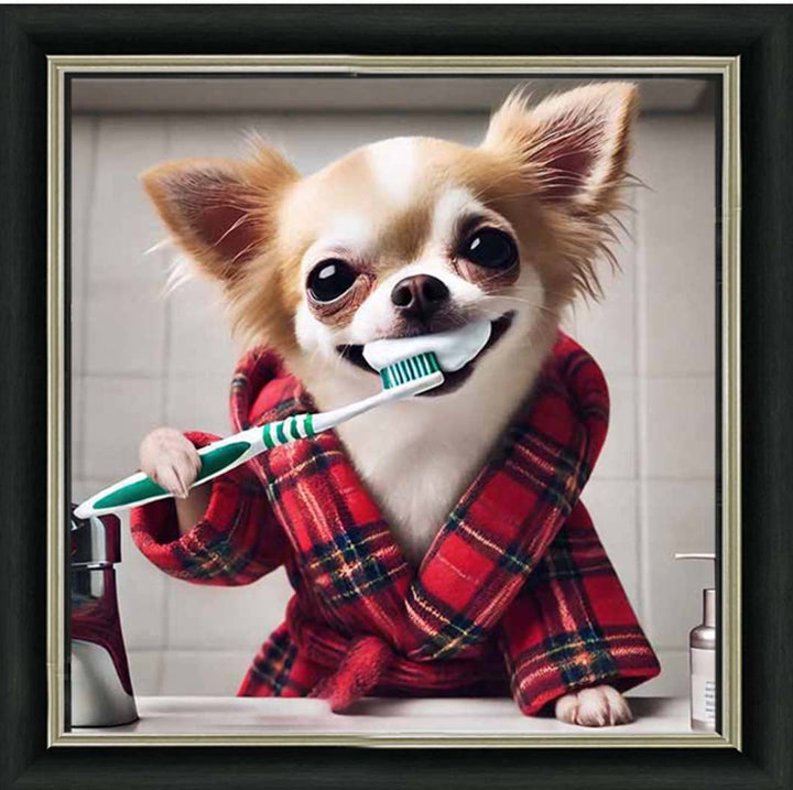 AN2287 Chihuahua Brushing-Teeth ||