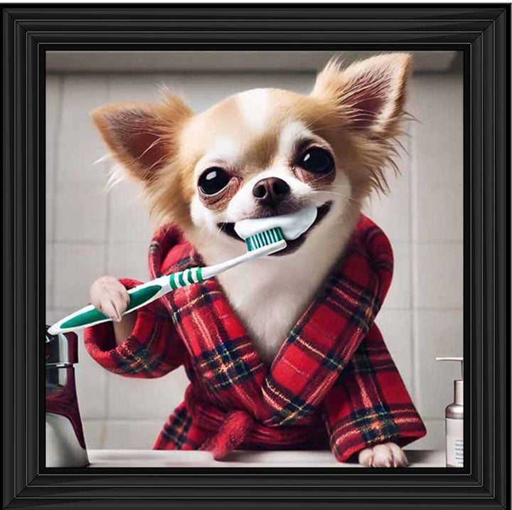 AN2287 Chihuahua Brushing-Teeth ||