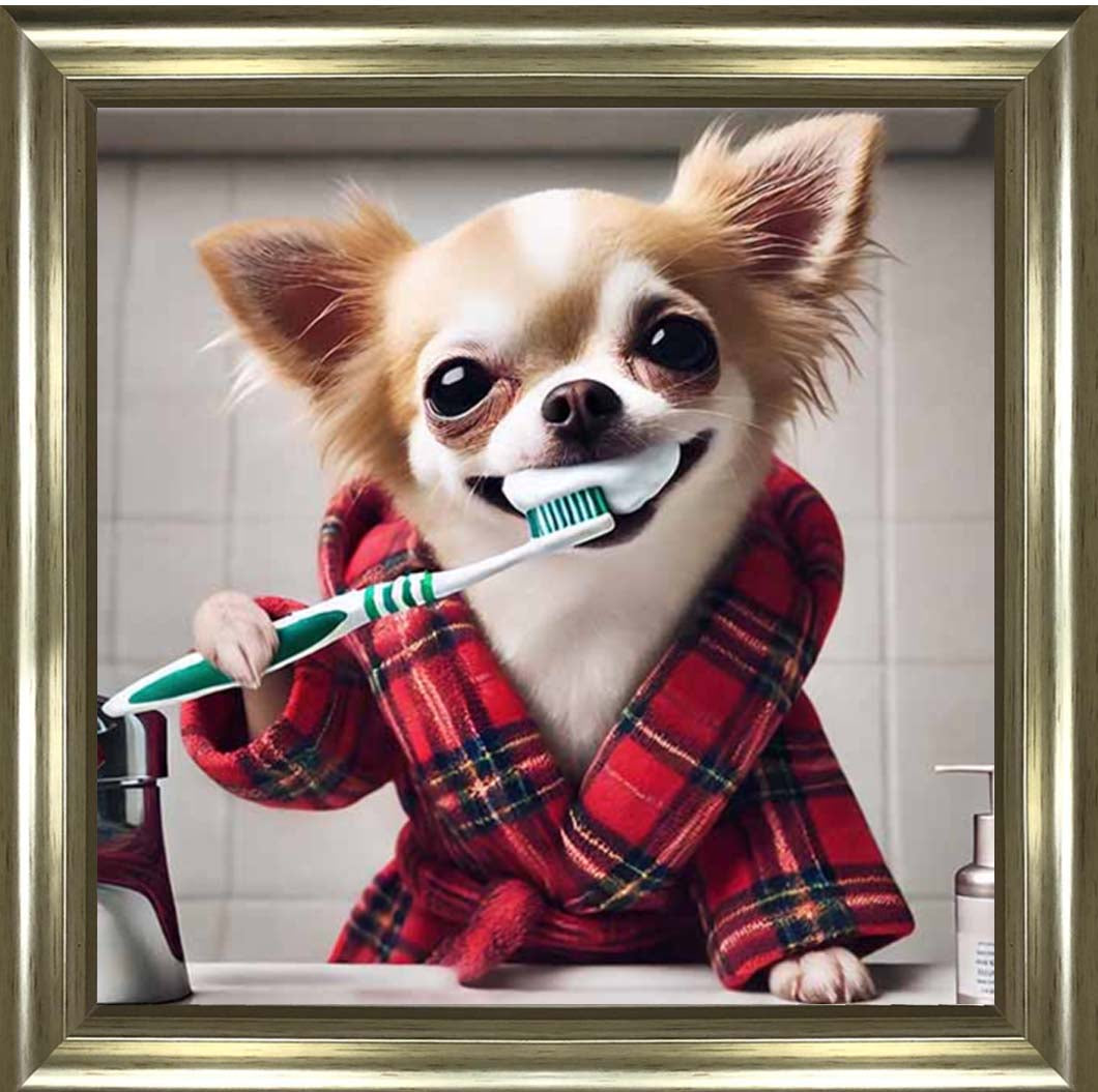 AN2287 Chihuahua Brushing-Teeth ||