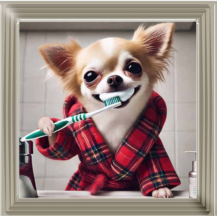 AN2287 Chihuahua Brushing-Teeth ||