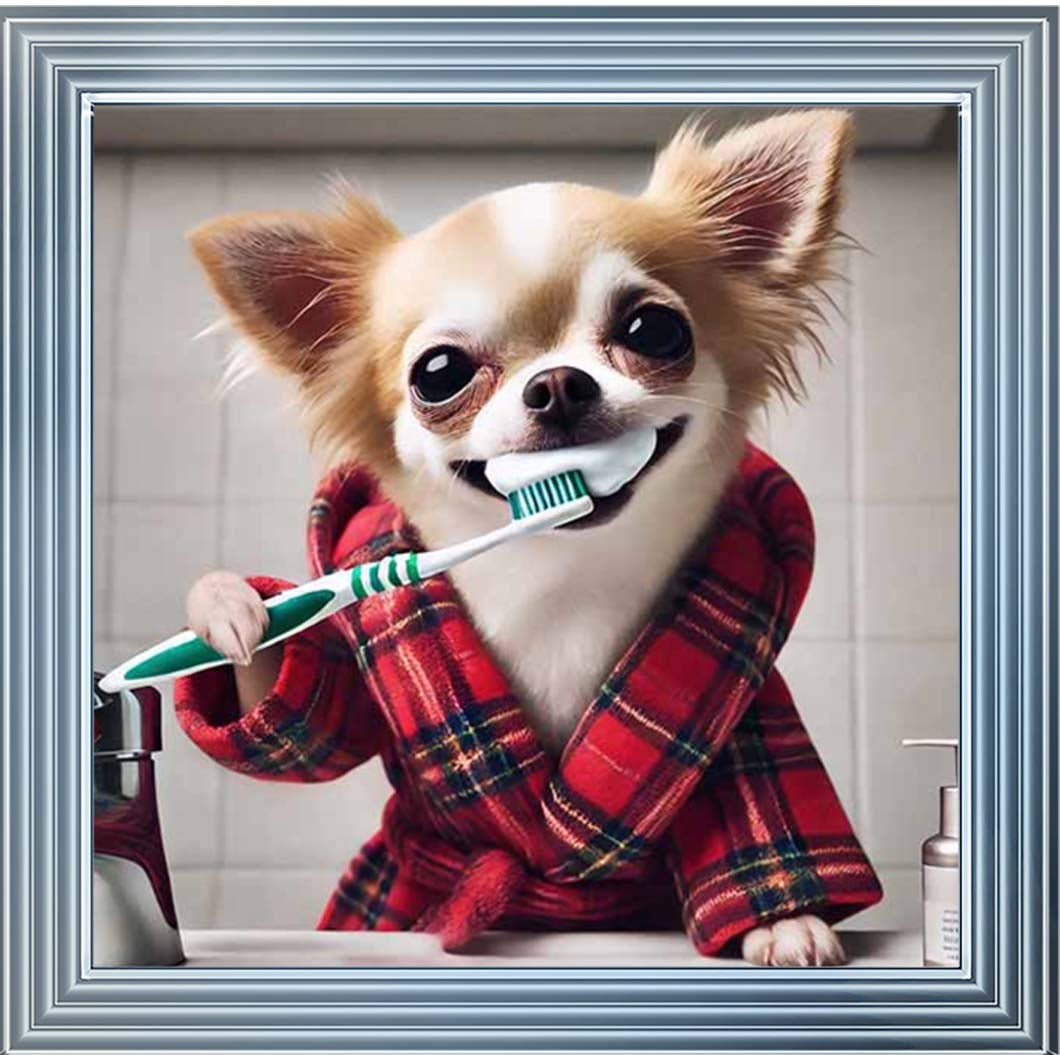 AN2287 Chihuahua Brushing-Teeth ||