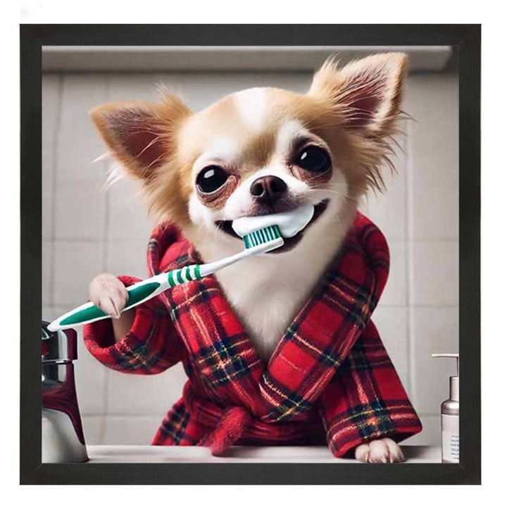 AN2287 Chihuahua Brushing-Teeth ||