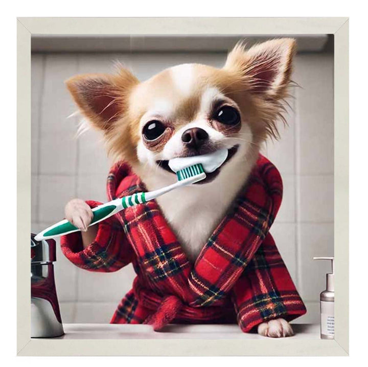 AN2287 Chihuahua Brushing-Teeth ||