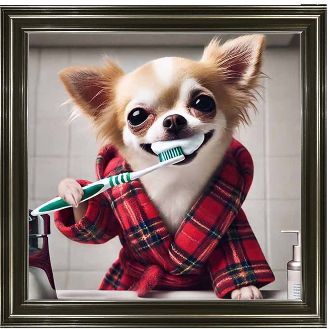 AN2287 Chihuahua Brushing-Teeth ||