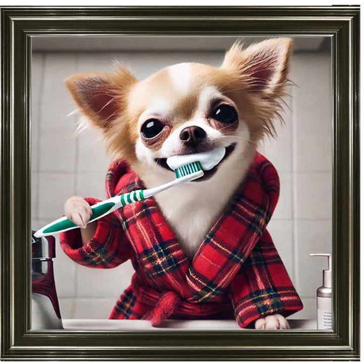AN2287 Chihuahua Brushing-Teeth ||