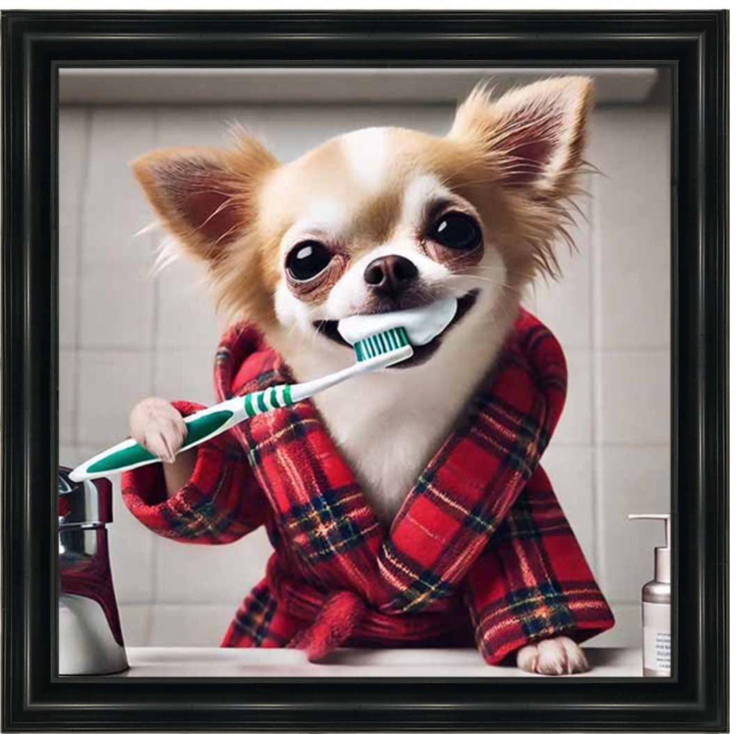 AN2287 Chihuahua Brushing-Teeth ||