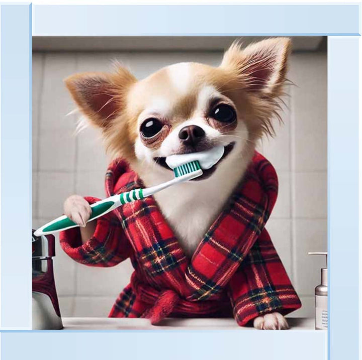 AN2287 Chihuahua Brushing-Teeth ||