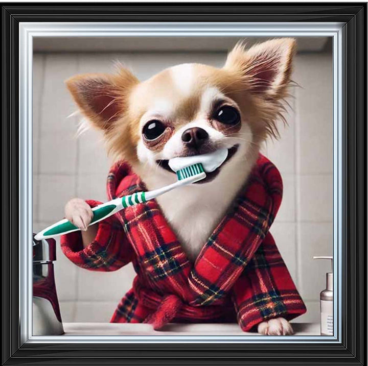 AN2287 Chihuahua Brushing-Teeth ||
