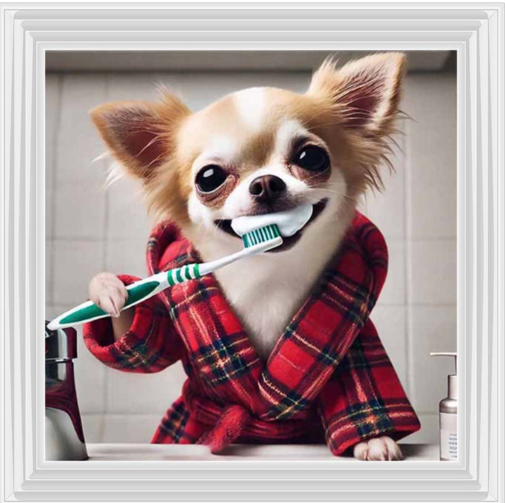 AN2287 Chihuahua Brushing-Teeth ||