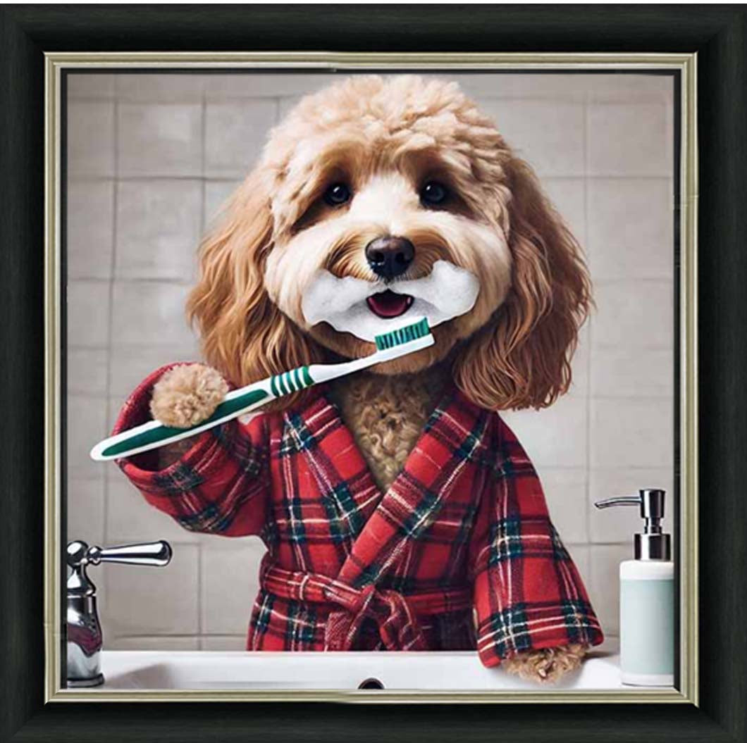AN2288 Cockapoo Brushing Teeth ||