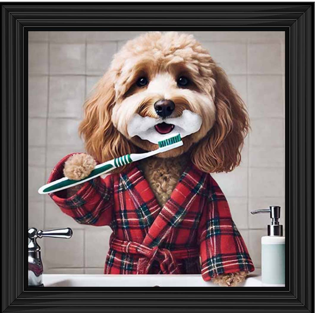 AN2288 Cockapoo Brushing Teeth ||