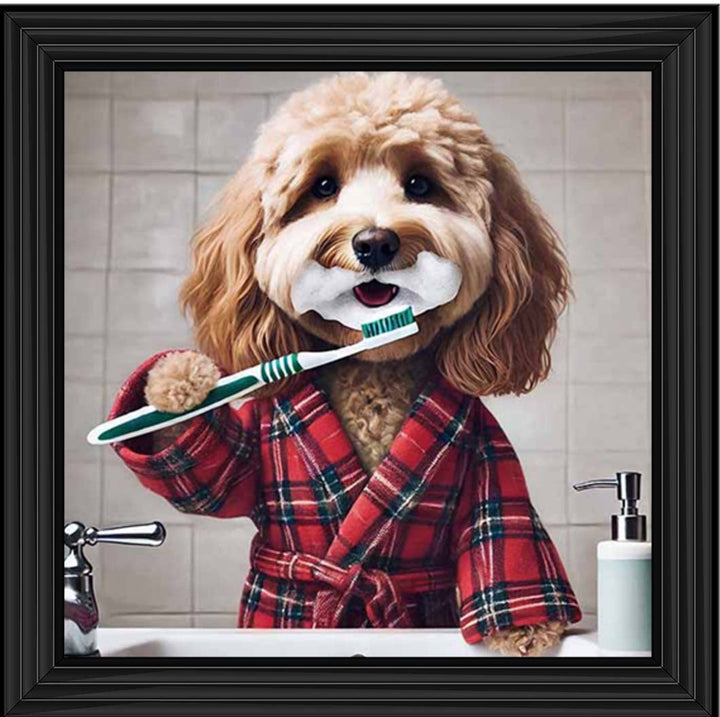 AN2288 Cockapoo Brushing Teeth ||