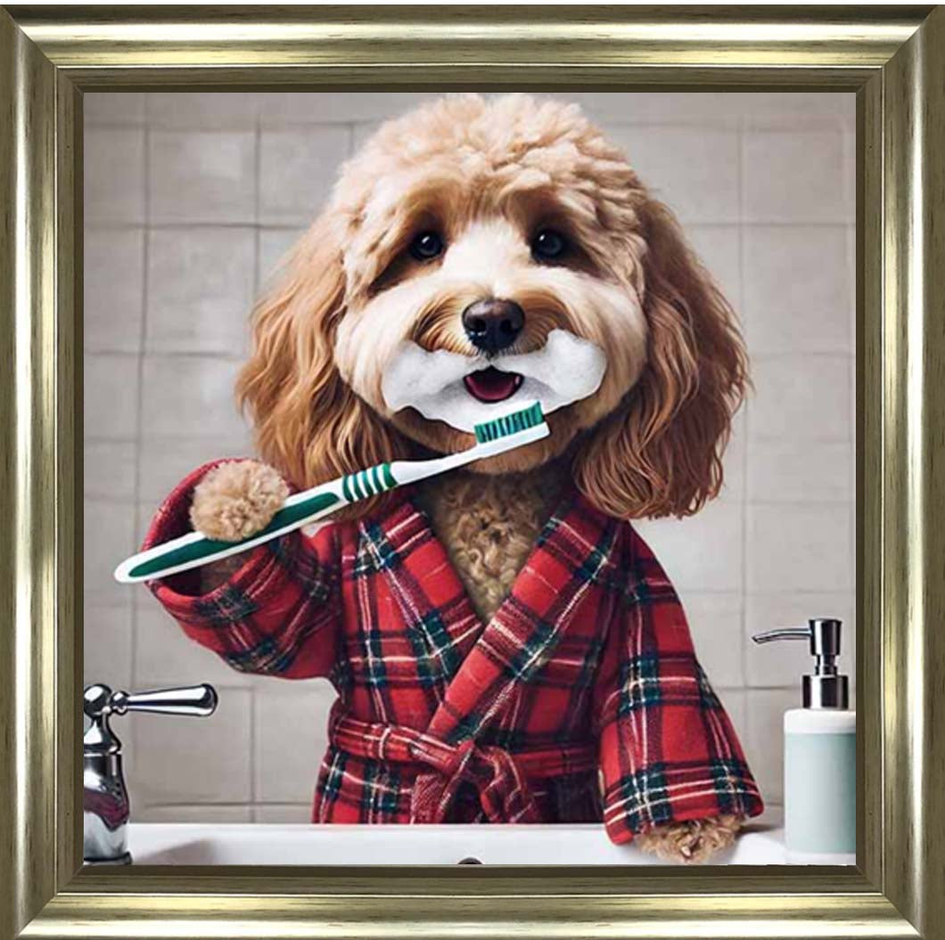 AN2288 Cockapoo Brushing Teeth ||