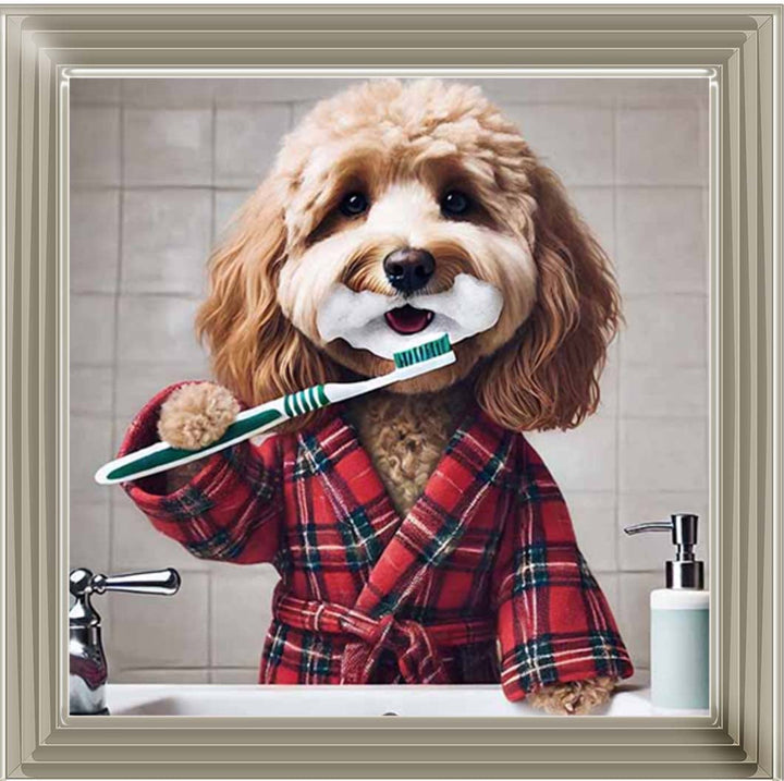 AN2288 Cockapoo Brushing Teeth ||