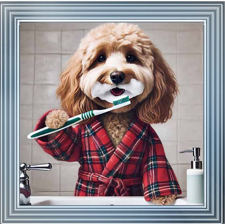 AN2288 Cockapoo Brushing Teeth ||