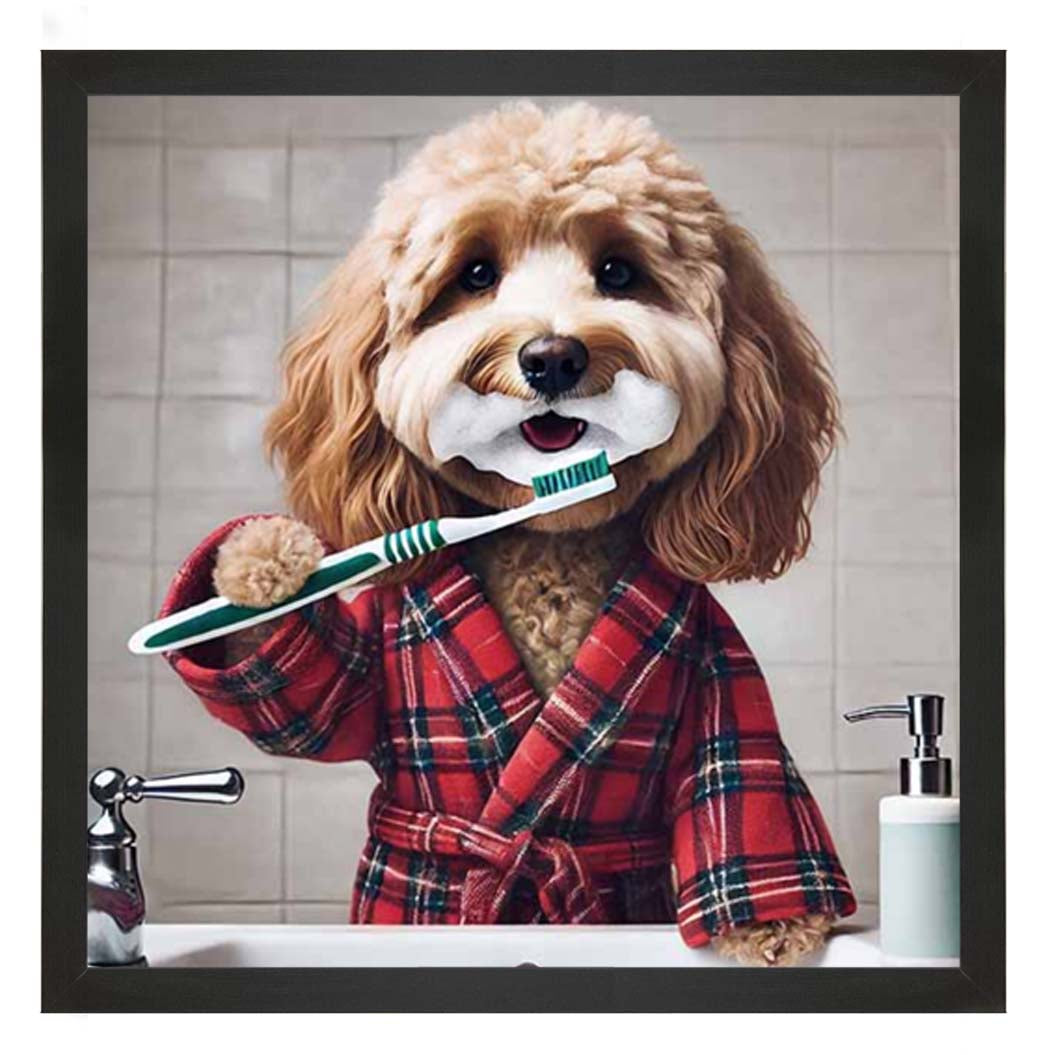 AN2288 Cockapoo Brushing Teeth ||