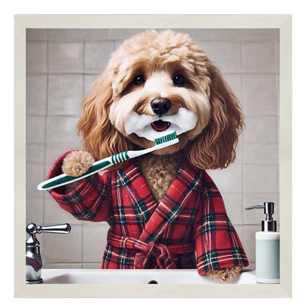 AN2288 Cockapoo Brushing Teeth ||
