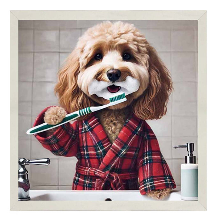 AN2288 Cockapoo Brushing Teeth ||