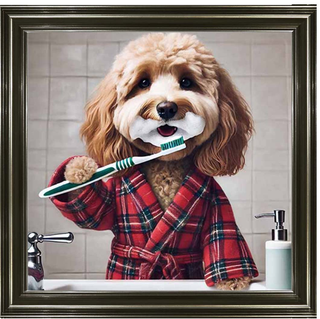 AN2288 Cockapoo Brushing Teeth ||