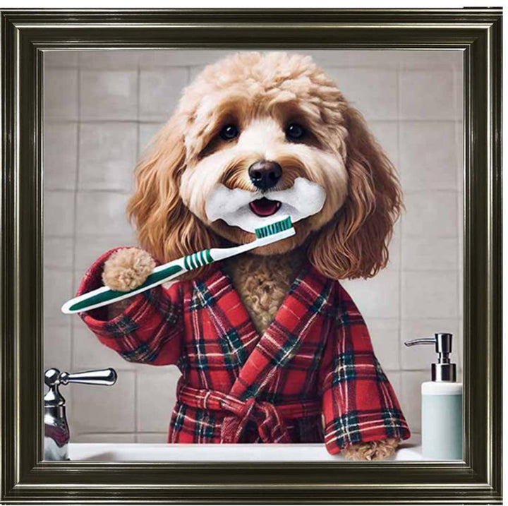 AN2288 Cockapoo Brushing Teeth ||