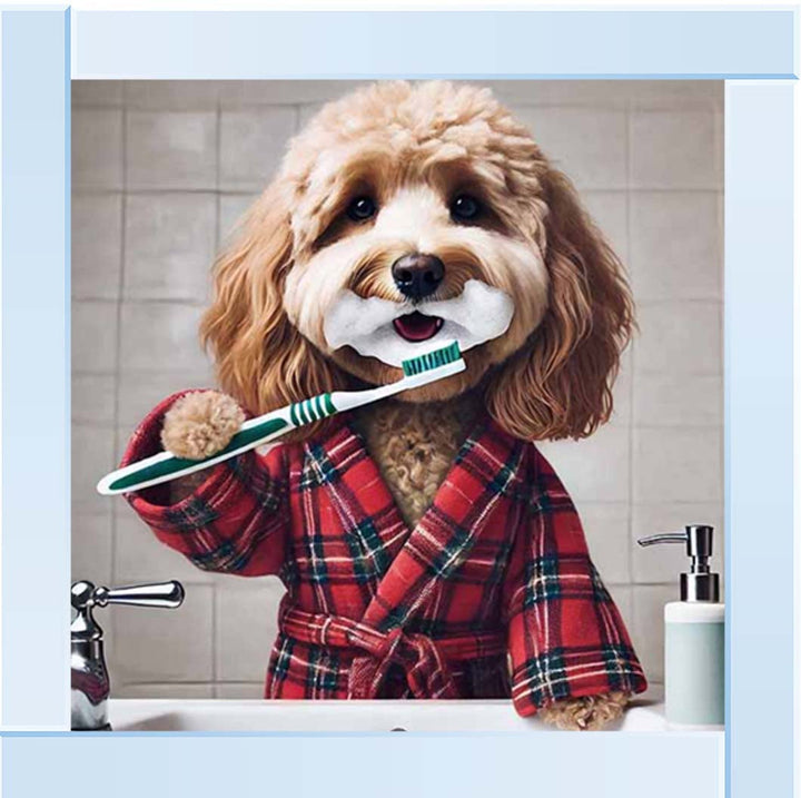 AN2288 Cockapoo Brushing Teeth ||