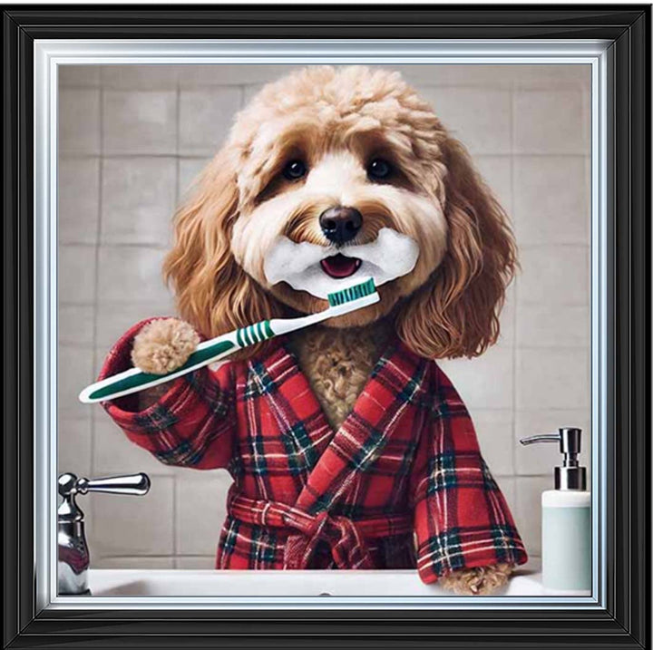 AN2288 Cockapoo Brushing Teeth ||