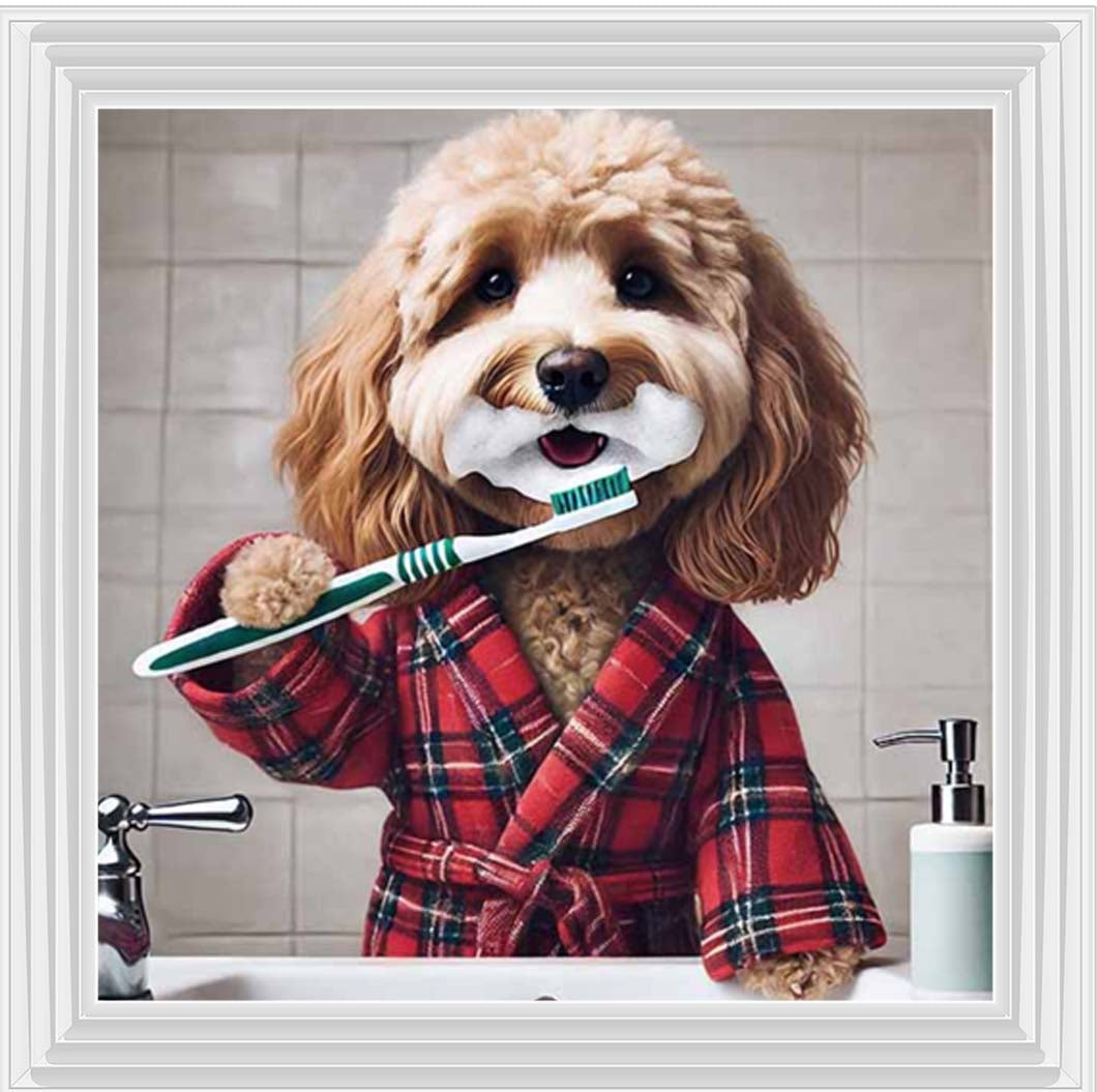 AN2288 Cockapoo Brushing Teeth ||