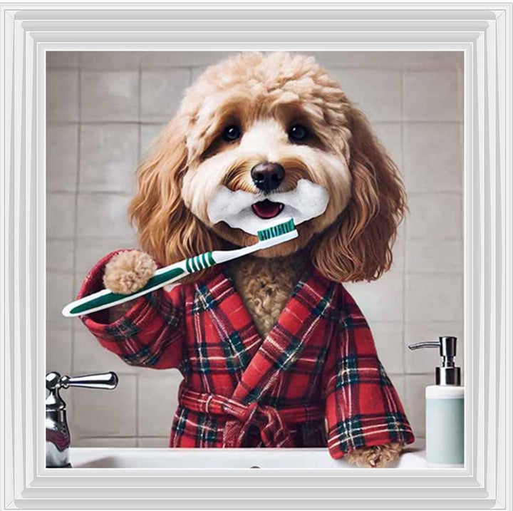AN2288 Cockapoo Brushing Teeth ||