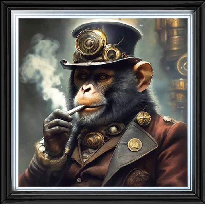 AN2310 Captain Monkey