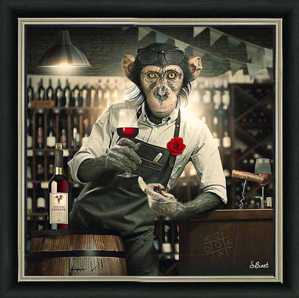 AN2315 The Bar Monkey